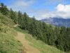 2016-09-17 Alpe tagliata - M.Olano - M (5).jpg