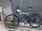 Specialized enduro Expert L 29