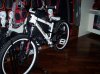 commencal roby 1.jpg