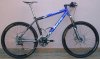 Turro-Dx-Web.jpg