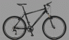 La_mia_KTM_565.gif