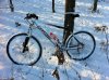 foto bici.jpg