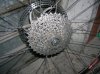 DSCN9070.jpg