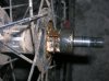 DSCN9074.jpg