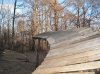 IMG_1137.jpg