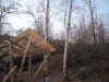IMG_1142.jpg