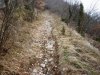 P1010105.jpg