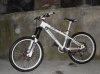 SDC12574.jpg