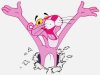pantera_rosa_20090123_1259960780.jpg
