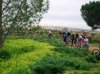 DSCN9624.jpg