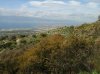Foto-0018.jpg