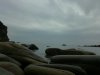 27022011482.jpg