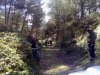 06032010124.jpg