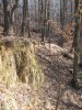 IMG_1245.jpg