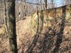 IMG_1246.jpg
