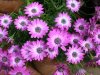 DSCN0570.jpg