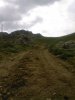 Foto1904.jpg