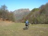 DSCN7954.jpg