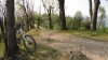 DSC00145.jpg