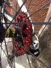 ImageUploadedByTapatalk1303471237.657789.jpg