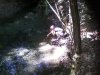 Foto0477.jpg