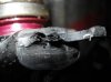DSC01691.jpg