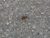 IMG011.jpg