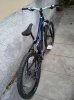 11062011003.jpg