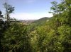 19062011128.jpg