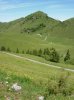 DSCN4852.jpg
