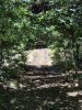 HPIM1035.jpg