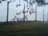 DSC01171.JPG