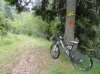 DSC03997.jpg