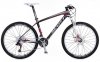 SCOTT%20SCALE%2035.jpg