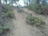 27072011327.jpg