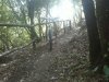 20072011117.jpg