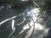 20072011119.jpg