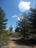 DSCN0040.jpg