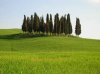 Dscn0067Cipressi.jpg