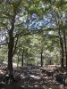 DSCN0090.jpg