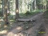 SDC12968.jpg