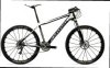 Cannondale team.jpg