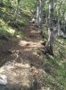 Foto0124.jpg