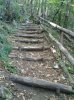 Foto0130.jpg