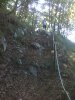 IMG_20110911_112832.jpg