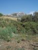 DSCN0293.jpg