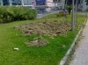 25092011035bis.jpg
