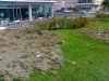 25092011037bis.jpg