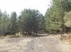 DSCN0399.jpg