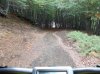 DSCN0425.jpg